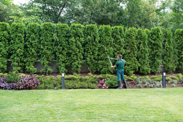  Aquia Harbour, VA Tree Services Pros