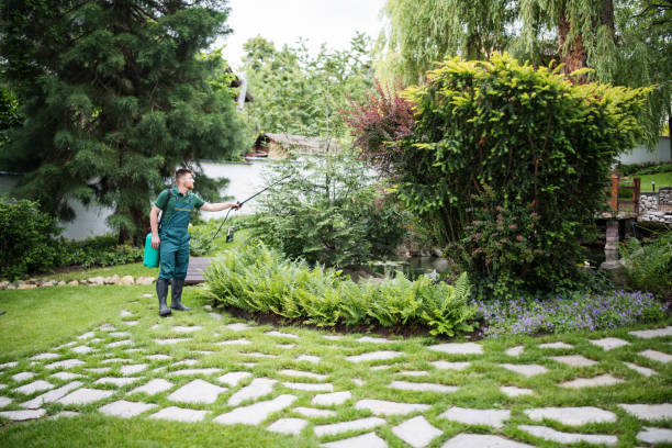 Best Landscape Design and Installation  in Aquia Harbour, VA