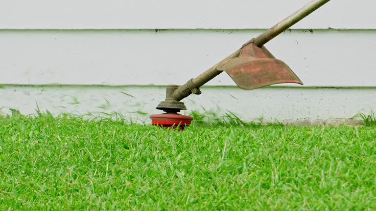 Best Tree and Shrub Care  in Aquia Harbour, VA